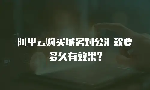 阿里云购买域名对公汇款要多久有效果？