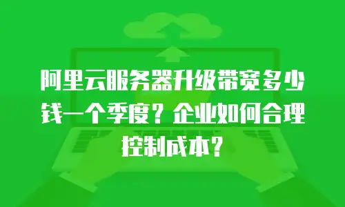 阿里云服务器升级带宽多少钱一个季度？企业如何合理控制成本？