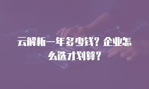 云解析一年多少钱？企业怎么选才划算？