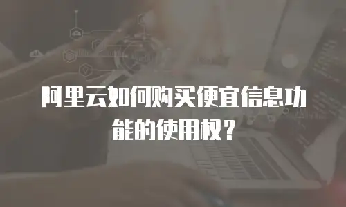 阿里云如何购买便宜信息功能的使用权？