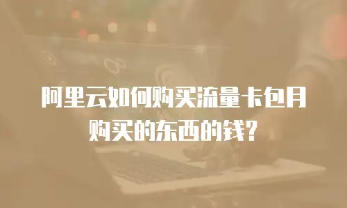 阿里云如何购买流量卡包月购买的东西的钱？
