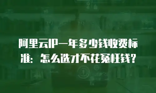 阿里云IP一年多少钱收费标准：怎么选才不花冤枉钱？