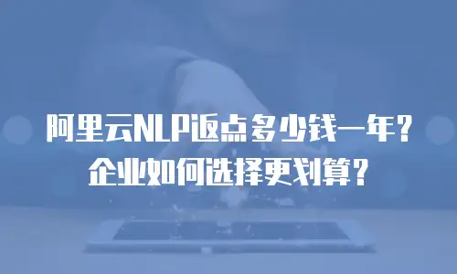 阿里云NLP返点多少钱一年？企业如何选择更划算？
