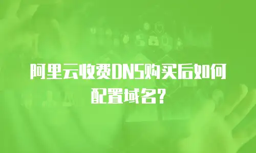 阿里云收费DNS购买后如何配置域名？