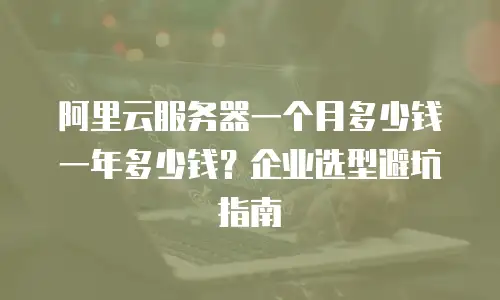 阿里云服务器一个月多少钱一年多少钱？企业选型避坑指南