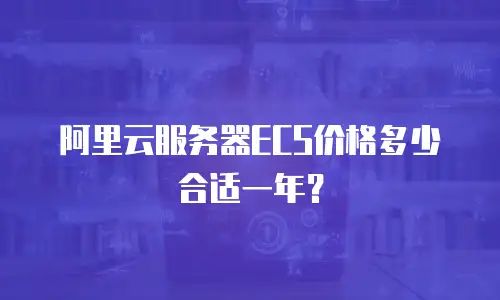 阿里云服务器ECS价格多少合适一年？