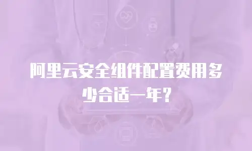阿里云安全组件配置费用多少合适一年？