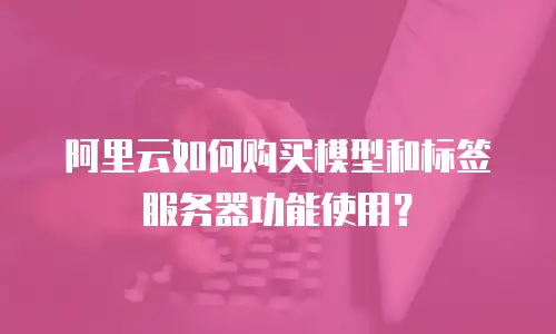 阿里云如何购买模型和标签服务器功能使用？