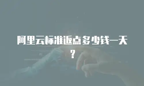 阿里云标准返点多少钱一天？
