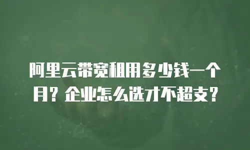 阿里云带宽租用多少钱一个月？企业怎么选才不超支？