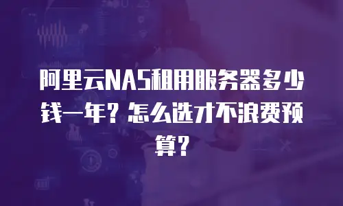 阿里云NAS租用服务器多少钱一年？怎么选才不浪费预算？