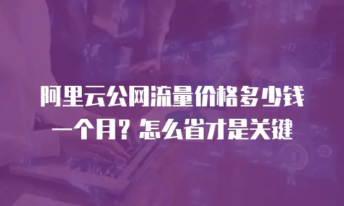 阿里云公网流量价格多少钱一个月？怎么省才是关键