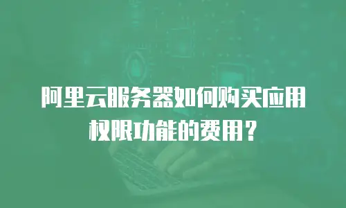 阿里云服务器如何购买应用权限功能的费用？