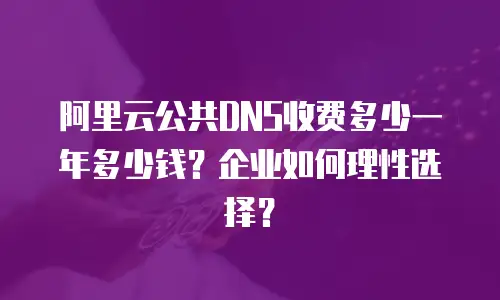 阿里云公共DNS收费多少一年多少钱？企业如何理性选择？