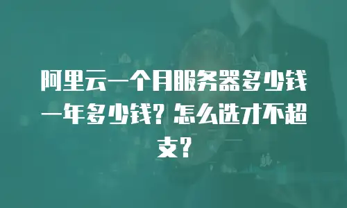 阿里云一个月服务器多少钱一年多少钱？怎么选才不超支？