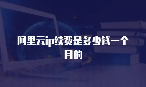 阿里云ip续费是多少钱一个月的