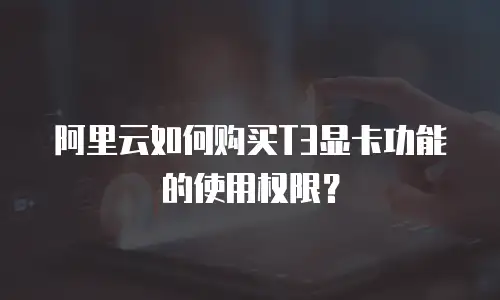 阿里云如何购买T3显卡功能的使用权限？
