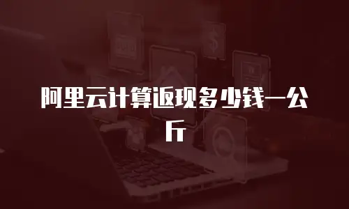 阿里云计算返现多少钱一公斤