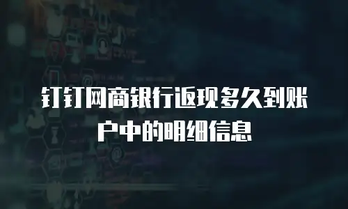 钉钉网商银行返现多久到账户中的明细信息