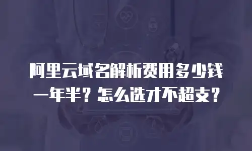 阿里云域名解析费用多少钱一年半？怎么选才不超支？