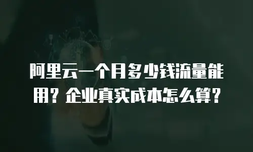 阿里云一个月多少钱流量能用？企业真实成本怎么算？