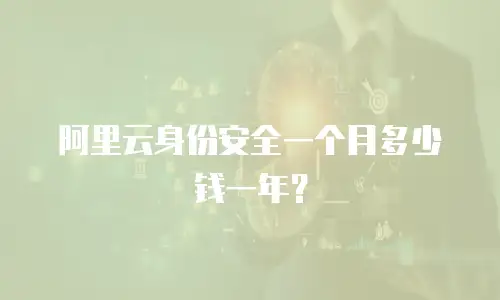 阿里云身份安全一个月多少钱一年？