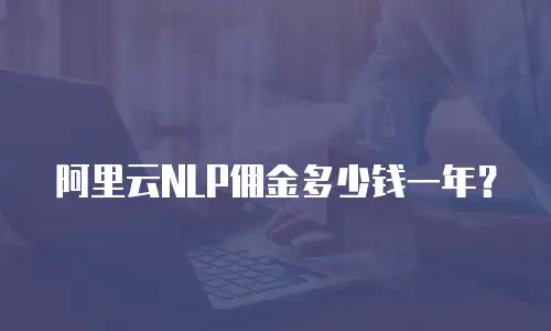 阿里云NLP佣金多少钱一年？