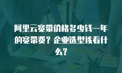 阿里云宽带价格多少钱一年的宽带费？企业选型该看什么？