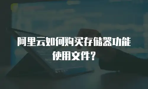 阿里云如何购买存储器功能使用文件？