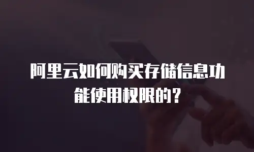 阿里云如何购买存储信息功能使用权限的？