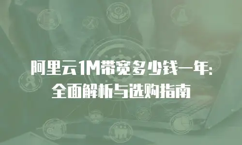 阿里云1M带宽多少钱一年：全面解析与选购指南