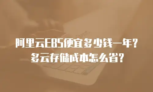 阿里云EBS便宜多少钱一年？多云存储成本怎么省？