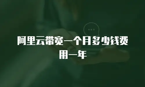 阿里云带宽一个月多少钱费用一年