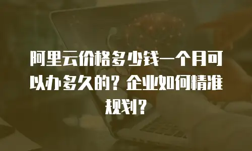 阿里云价格多少钱一个月可以办多久的？企业如何精准规划？