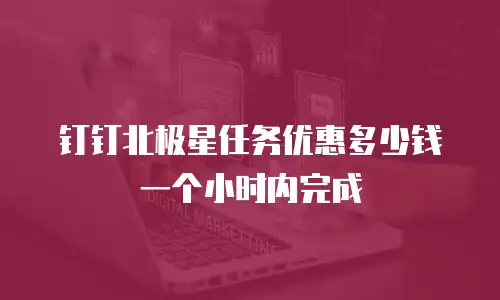 钉钉北极星任务优惠多少钱一个小时内完成