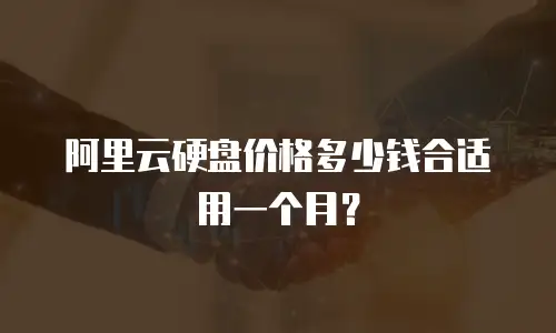 阿里云硬盘价格多少钱合适用一个月？