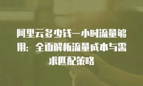 阿里云多少钱一小时流量够用：全面解析流量成本与需求匹配策略