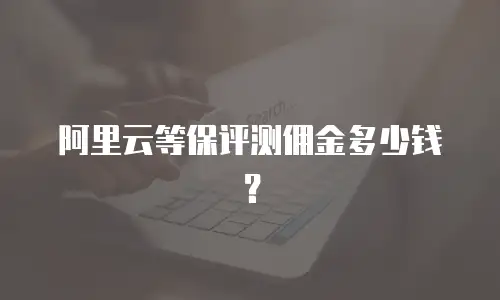 阿里云等保评测佣金多少钱？