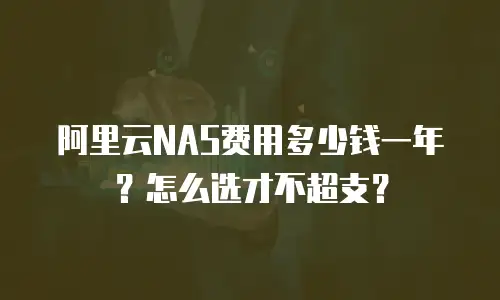 阿里云NAS费用多少钱一年？怎么选才不超支？