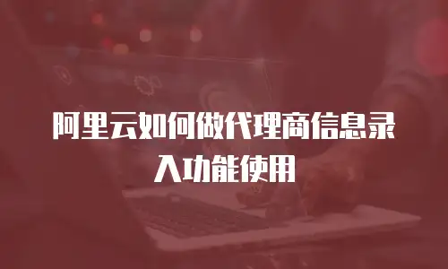 阿里云如何做代理商信息录入功能使用