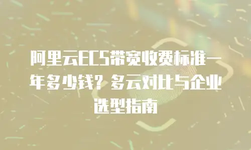 阿里云ECS带宽收费标准一年多少钱？多云对比与企业选型指南