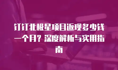 钉钉北极星项目返现多少钱一个月？深度解析与实用指南