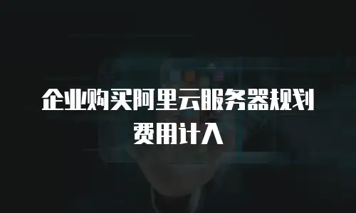 企业购买阿里云服务器规划费用计入