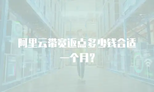 阿里云带宽返点多少钱合适一个月？