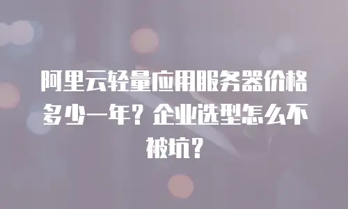 阿里云轻量应用服务器价格多少一年？企业选型怎么不被坑？