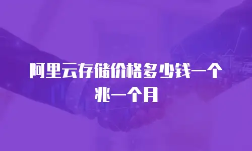 阿里云存储价格多少钱一个兆一个月