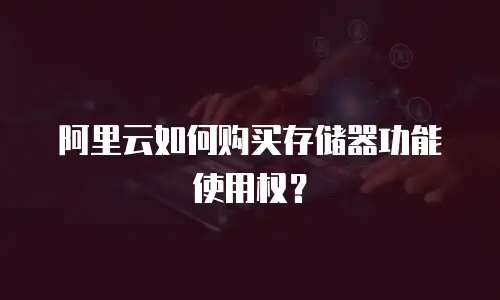 阿里云如何购买存储器功能使用权？