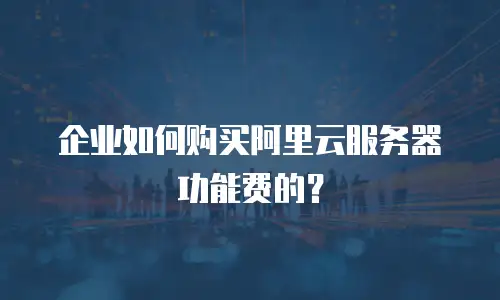 企业如何购买阿里云服务器功能费的？