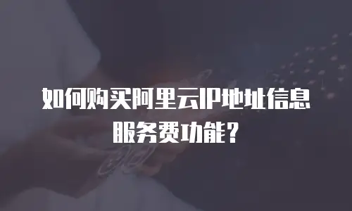 如何购买阿里云IP地址信息服务费功能？