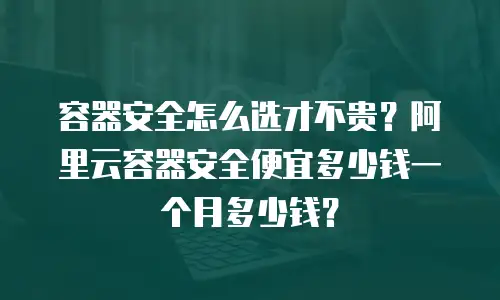 容器安全怎么选才不贵？阿里云容器安全便宜多少钱一个月多少钱？